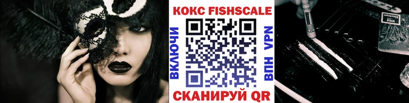 Cocaine FishScale  ОМГ ОМГ сайт  Новодвинск 